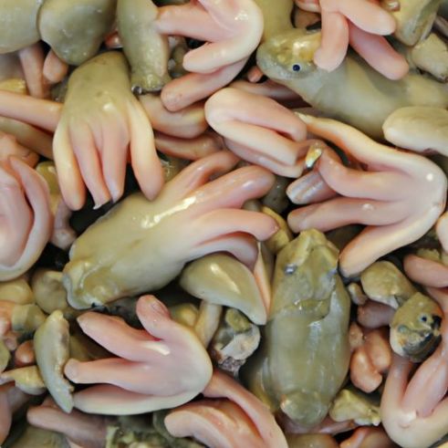 Frog Legs Meat Cleaned meat cleaned headless skinless Headless Skinless Frog Escargot Hot Sale Good Price Frozen
