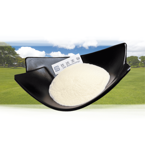 Bone Collagen Peptide Milk Shake Applications Cheapest Price
