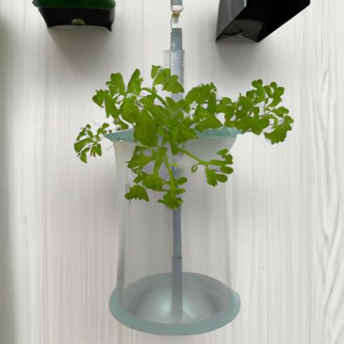Gartenstarter Hausgarten motorisiertes Gardinenstangensystem Hydrokultur-Anbau LED für Thymian-Minze-Tomaten-Salat 2021 Innenkräuter