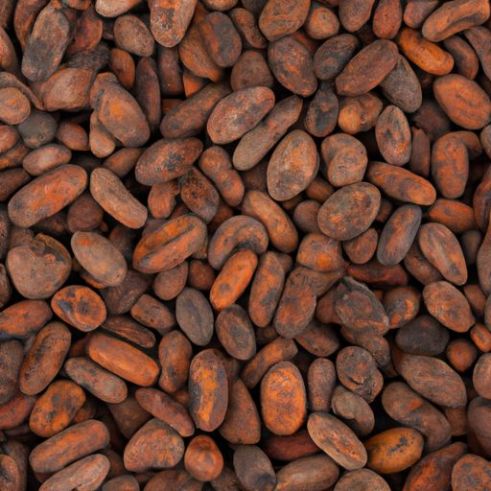 Rohe Kakaobohnen zum Verkauf Hochwertiges, getrocknetes Kakaopulver