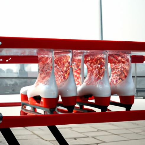 Heels von Factory in Zhejiang, zweireihiger Outdoor-Verleih von Eislaufschuhen