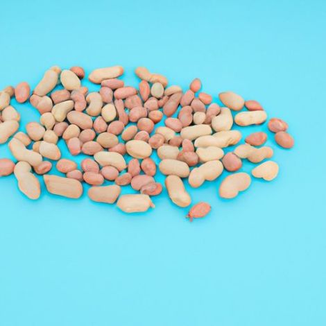Amendoim cru barato e sem casca, produto 100% natural, tamanho 6 mm, com grãos de amendoim
