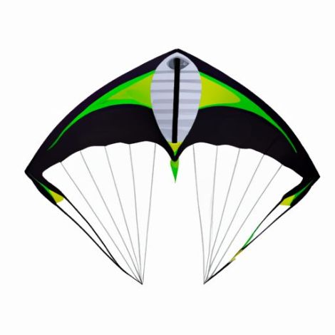 Advertising Stunt kite, Promotional power kite sale Stunt kite Dual-line Stunt kite,