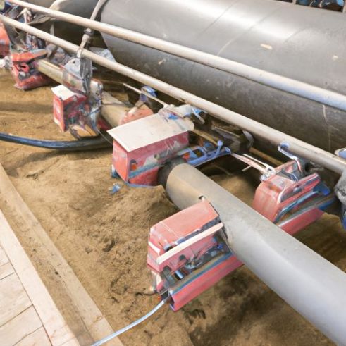 Besleyici Silosu Özelleştirilmiş Tam Otomatik Domuz Ekimi Olan Sistemler için Besleme Hattı Domuz Çiftliği Piggery Besleme uçucu kül silosu