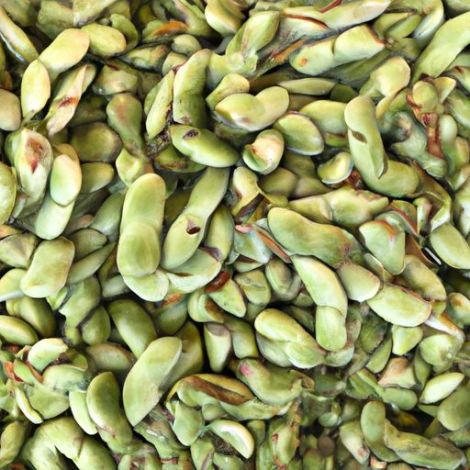 Beli kacang buncis Kacang buncis berkualitas tinggi Australia Menanam kacang buncis