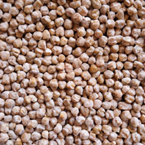 农产品供应商最高有机干燥品质最佳天然鹰嘴豆