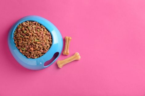 Aplicaciones de alimentos enlatados para mascotas con gelatina de res asequibles