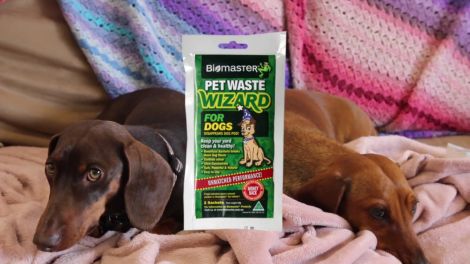 Environment Friendly Poop Bag label dog Biodegradable Eco Dog Waste Roll