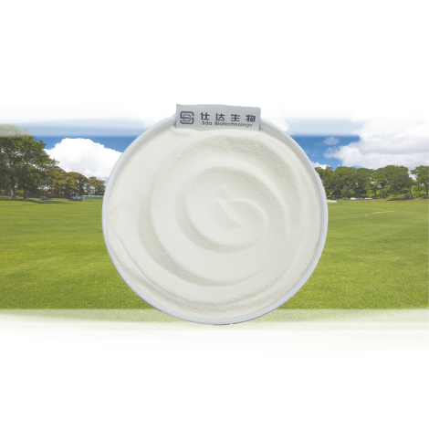 Granulated Collagen Peptide Wholesaler Yogurt Applications Affordable