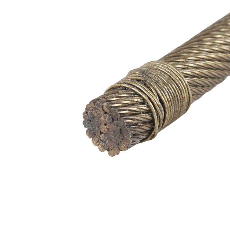 electrical steel wire